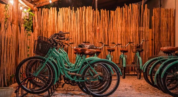 selvazama bicis
