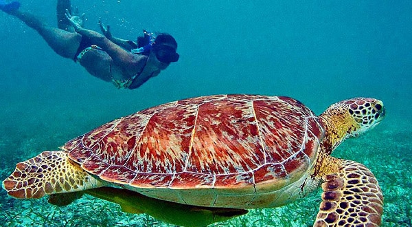 akumal
