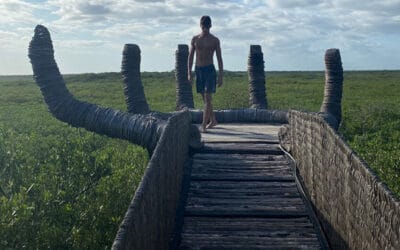 Blog 9 La mano gigante de Tulum: dónde está y cómo visitarla