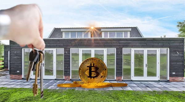 cripto 2