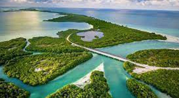 punta allen blog