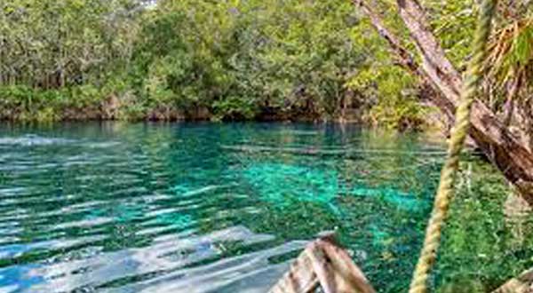 cenote blog 5