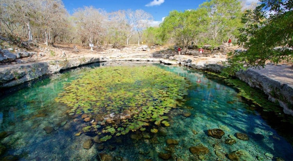 cenote blog 6