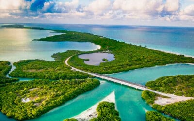 La “Puerta del Cielo” está en Quintana Roo: Conoce el Paraíso Maya Sian Ka´an