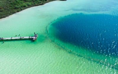 Blog 6 Laguna Kaan Luum, una juya turquesa con un cenote en su interior.