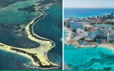 Así era la Zona Hotelera de Cancún en el pasado